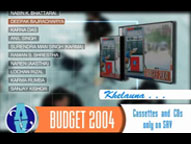 budget 2004